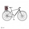 Ortlieb Up-Town Rack Urban 17,5 (Ash Rose)