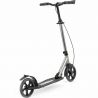 Frenzy 205 mm Dual Brake Recreational (Titanium)
