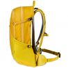 Deuter Futura 23 (Turmeric Greencurry)