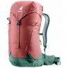 Deuter AC Lite 24 (Redwood Ivy)