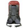Deuter AC Lite 24 (Redwood Ivy)