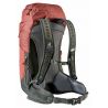 Deuter AC Lite 24 (Redwood Ivy)