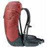 Deuter AC Lite 24 (Redwood Ivy)
