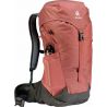 Deuter AC Lite 24 (Redwood Ivy)