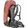 Deuter AC Lite 24 (Redwood Ivy)
