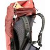 Deuter AC Lite 24 (Redwood Ivy)