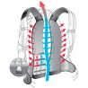 Deuter Compact EXP 10 SL (Cardinal Maron)