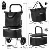 ShoppingCruiser 4 in 1 (Black)