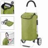 ShoppingCruiser Foldable 40 (Green)