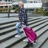 ShoppingCruiser Stairs Climber 53 (Grey)