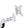 Loctek DLB851 (White)
