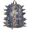 Madpax Pactor Full (Boa Blue)