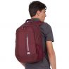 Case Logic Jaunt 23L (Port Royale)