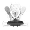 Ergon ST Core Evo S/M (Black-Grey)