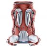 Deuter Jaypack 34+ (Redwood)