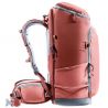 Deuter Jaypack 34+ (Redwood)