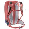 Deuter Rotsoord 25+5 (Redwood Ink)