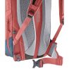 Deuter Rotsoord 25+5 (Redwood Ink)
