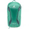 Deuter Race EXP Air 14+3 (Fern Graphite)