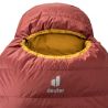 Deuter Astro 300 Left (Redwood Curry)