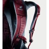 Deuter Futura 24 (Cranberry Maron)