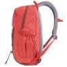 Deuter Gogo (Currant Redwood)