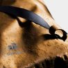 Deuter Amager 25+5 (Almond)