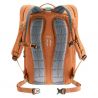 Deuter Stepout 22 (Chestnut Ivy)