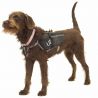 Ultimate Direction Dog Vest