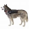 Ultimate Direction Dog Vest