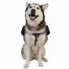 Ultimate Direction Dog Vest