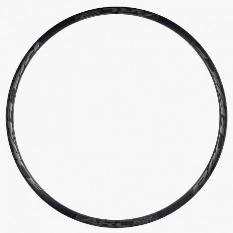 RaceFace RIM,ARC OFFSET,2019,35,29",28H,GRY