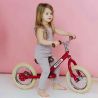 TryBike Steel