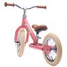TryBike Steel