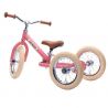 TryBike Steel Tricycle