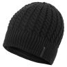 MONTANE Windjammer Beanie