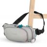 Pacsafe Eco Anti-Theft Waist Pack