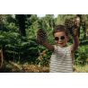 Julbo Walk