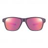 Julbo Cruiser