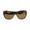 Julbo Explorer 2.0