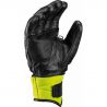 Leki Worldcup Race Downhill S