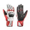 Leki WC Racing GS S