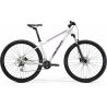 Merida Big.Nine 20-2x