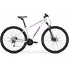 Merida Big.Nine 20-3x