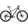 Merida Big.Nine 300