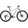 Merida Big.Nine 300