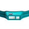 Biolite Headlamp 425