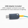 Biolite Sitelight String