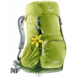 Deuter Zugspitze 22 SL Moss Pine