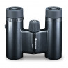Vanguard Vesta Compact 10x21 WP